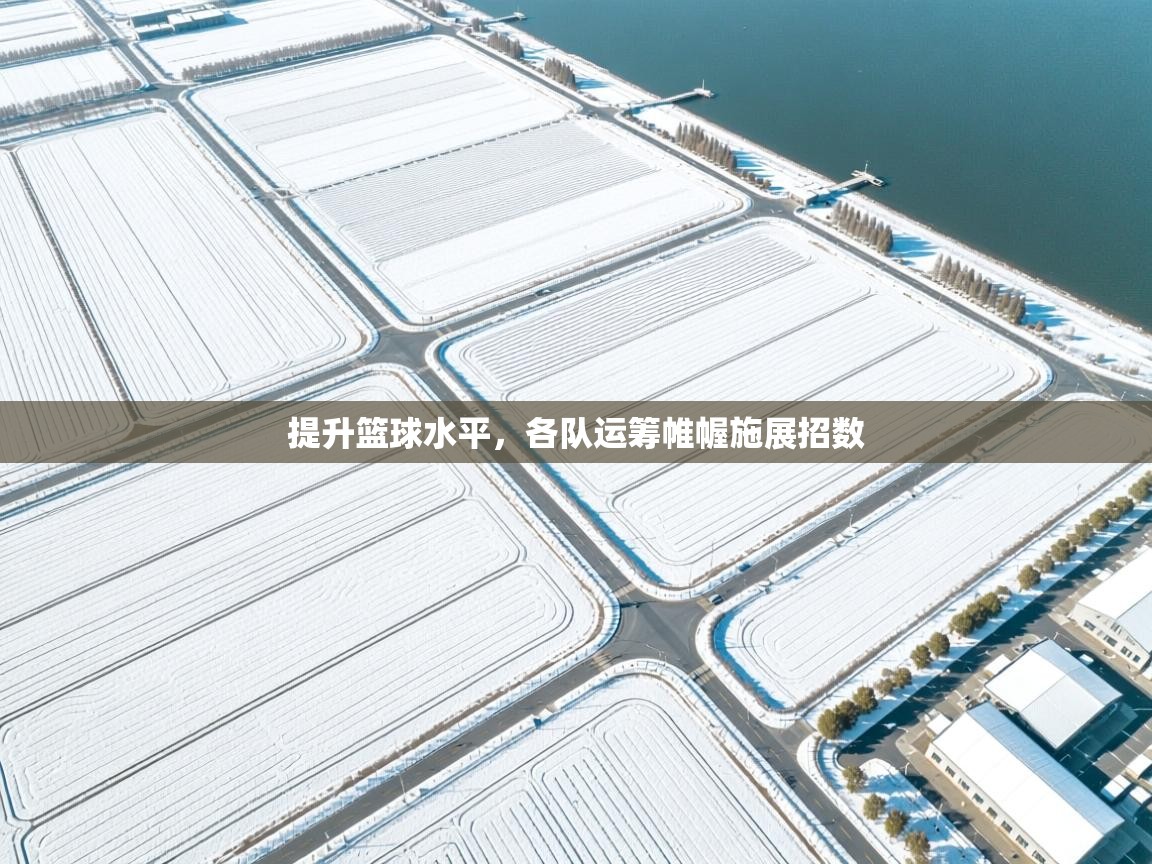 提升篮球水平,各队运筹帷幄施展招数 第1张