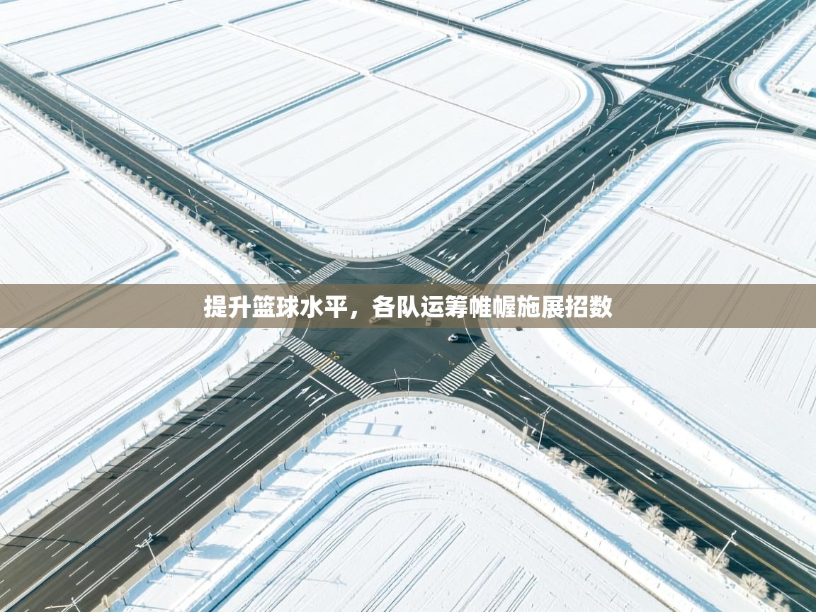 提升篮球水平,各队运筹帷幄施展招数 第2张